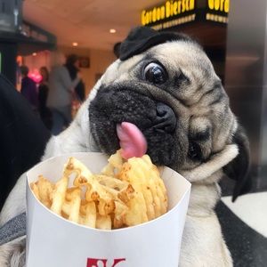 Meet your Posher, Steve